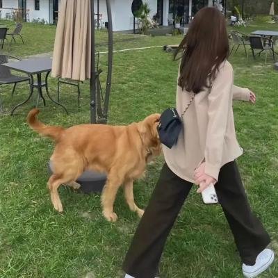 被遗忘祖先的影子