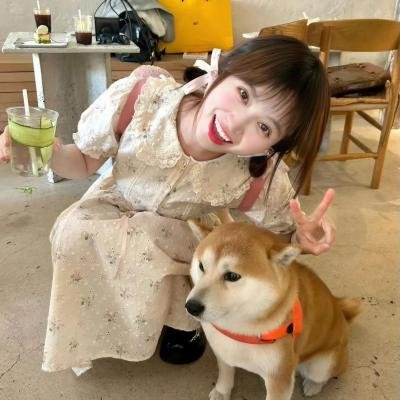 爱情，婚礼和其它灾难